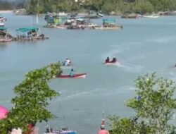 PT Timah Bersama HNSI Bangka Galakkan Aksi Hijau dan Lomba Dayung Pesisir