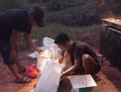 Jono Sang Kolektor: Jaringan Ilegal yang Mengguncang Pasar Timah Mentok