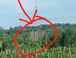 Tambang Ilegal Ampui, Hukum Dibiarkan Mandul: Satgas Timah Ditantang Bertindak