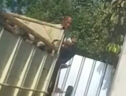 Bos Timah Ilegal AND di Konghin Diduga Masih Beraktivitas, Satgas Halilintar Dinilai Kecolongan