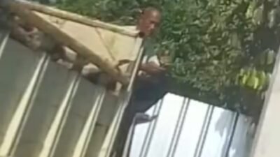 Bos Timah Ilegal AND di Konghin Diduga Masih Beraktivitas, Satgas Halilintar Dinilai Kecolongan