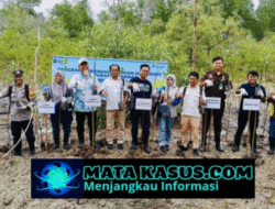 PT TIMAH Tbk Tanam Ribuan Mangrove di Pantai Kobel Demi Selamatkan Pesisir Kundur