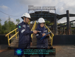 Fundamental Dinilai Kokoh, PT Timah Tbk Raih Peringkat idA+ dari Pefindo