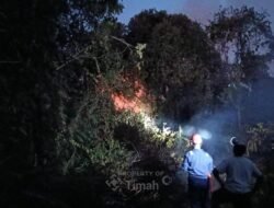 PT Timah Tbk Sigap Turunkan Damkar Bantu Padamkan Kebakaran Lahan di Kundur Barat