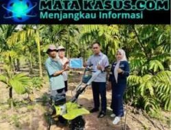 Dukungan PT Timah Tbk untuk Kelompok Tani Desa Kundur, Perkuat Ketahanan Pangan Lewat Bantuan Alat Pertanian