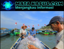 Perlindungan Nelayan Pesisir, PT Timah Tbk Fasilitasi BPJS Ketenagakerjaan Sejak 2022