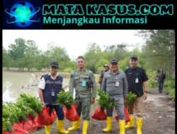 Lewat Program TJSL, PT Timah Tbk Perkuat Pesisir dengan Ribuan Mangrove di Kundur dan Meranti