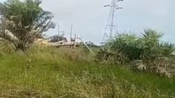 Di Bawah Tower Listrik Tegangan Tinggi, Tambang Ilegal Bekerja Tanpa Rasa Takut: Nama Oknum APH Mencuat