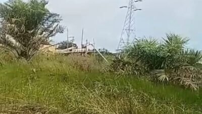 Di Bawah Tower Listrik Tegangan Tinggi, Tambang Ilegal Bekerja Tanpa Rasa Takut: Nama Oknum APH Mencuat