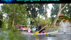 Tins Green Garden Foresttree Diresmikan, PT Timah Tbk Sediakan Ruang Hijau Edukatif Ramah Anak