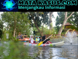 Tins Green Garden Foresttree Diresmikan, PT Timah Tbk Sediakan Ruang Hijau Edukatif Ramah Anak