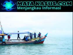 Reklamasi Laut PT Timah Tbk: 1.920 Artificial Reef Pulihkan Ekosistem Perairan Bangka Belitung