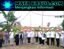 Kunjungan Kerja Komisi VI DPR RI ke PT Timah Tbk Bahas Revitalisasi Tambang dan REE