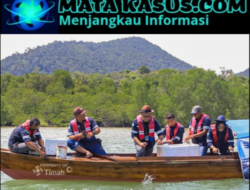 Jaga Ekologi dan Penghidupan Nelayan, PT Timah Tebar Ribuan Kepiting Bakau