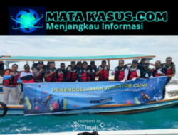 Selain Artificial Reef, PT Timah Perkuat Ekosistem Laut Lewat Atraktor Cumi