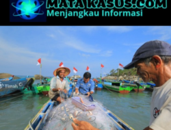 Perkuat Ekonomi Pesisir, PT Timah Tbk Gulirkan Program Nelayan Berkelanjutan