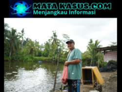 Kisah Mahendra Dongkrak Produksi Tambak Ikan Berkat Dukungan PT Timah Tbk