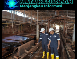 Kinerja Keuangan Meningkat, PT Timah Tbk Bukukan Laba Rp1,31 Triliun pada 2025