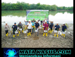 PT Timah Tbk dan Pemkab Bangka Hijaukan Kolong AKHLAK Air Kantung pada Hari Bumi 2026