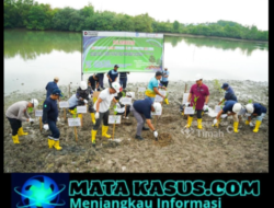 PT Timah Tbk Bersama Pemkab Bangka dan Warga Tata Kolong AKHLAK Jadi Kawasan Hijau Produktif