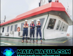 Setoran Pajak dan PNBP PT Timah Tbk Melonjak 106 Persen, Kontribusi ke Negara Tembus Rp1,6 Triliun