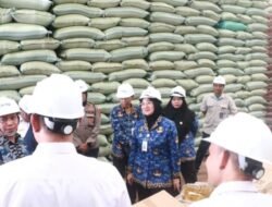 Pantau Ketahanan Pangan Jelang Idul Adha, Wawako Pangkalpinang Tinjau Distribusi Beras dan Minyak dari Bulog