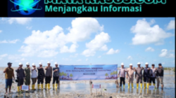 PT Timah Tbk dan Warga Belitung Timur Tanam 5.000 Mangrove di Pantai Mudong untuk Jaga Pesisir