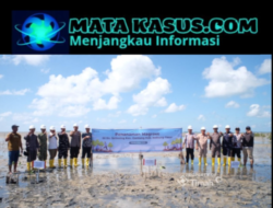PT Timah Tbk dan Warga Belitung Timur Tanam 5.000 Mangrove di Pantai Mudong untuk Jaga Pesisir