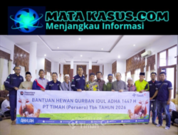 PT Timah Tbk Kembali Salurkan Hewan Kurban di Bangka Tengah, Pemkab Apresiasi Kepedulian Perusahaan