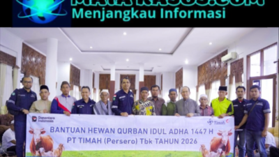 PT Timah Tbk Kembali Salurkan Hewan Kurban di Bangka Tengah, Pemkab Apresiasi Kepedulian Perusahaan