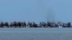 Ded Bantah Keras Dikaitkan dengan Tambang Laut Pasir Padi, Singgung Dugaan Opini Tanpa Verifikasi