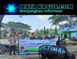 Jelang Iduladha, PT Timah Tbk Salurkan Hewan Kurban Hingga Pelosok Rangsang 