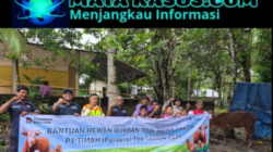 Sambut Iduladha 1447 H, PT Timah Tbk Bagikan Hewan Kurban di Belitung dan Belitung Timur