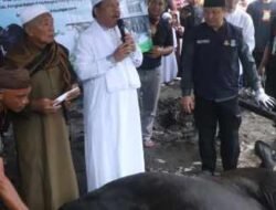 Bobot Capai 900 Kilogram, Bantuan Sapi Kurban Presiden Berkah untuk Warga Ketapang Pangkalpinang