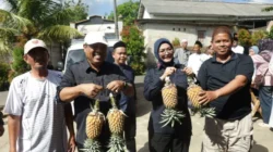 Dodol Nanas Tuatunu Menjangkau Pasar Jawa Barat, Pemkot Pangkalpinang Dorong Hilirisasi UMKM Lokal