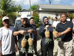 Dodol Nanas Tuatunu Menjangkau Pasar Jawa Barat, Pemkot Pangkalpinang Dorong Hilirisasi UMKM Lokal