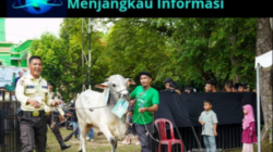 PT Timah Tbk Tebar Hewan Kurban di Momen Idul Adha, Kepala Daerah Apresiasi Kepedulian Sosial Perusahaan