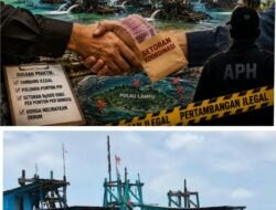 Siapa Bermain di Balik Tambang Ilegal Pulau Lampu? Dugaan Setoran Mingguan 500 Ribu per Ponton Mulai Terbongkar