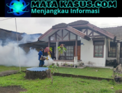 Cegah DBD, PT Timah Tbk Intensifkan Fogging di Fasilitas Umum