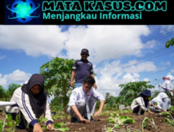 Serunya Pelajar Bangka Belajar Reklamasi Bersama PT Timah