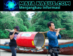 Restocking Cumi, PT Timah Tbk Perkuat Rehabilitasi Laut Bangka