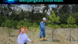 Dukung NZE 2060, PT Timah Tbk Tanam Puluhan Ribu Mangrove