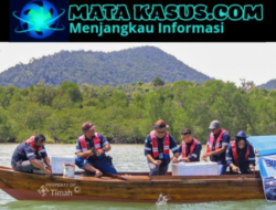 PT Timah Tbk Restocking Ribuan Kepiting Bakau untuk Jaga Ekosistem Laut Karimun