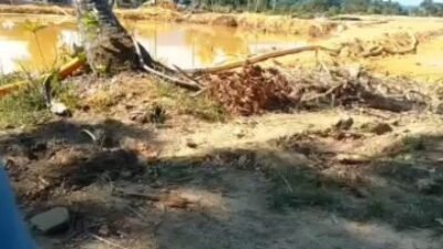 Tambang Diduga Ilegal Skala Besar Menganga di Belakang Rumah Ketua RT, Siapa Membekingi Tambang Sungai Daeng Mentok?