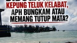 Tambang Laut di Luar IUP PT Timah Makin Brutal di Penyusuk-Cupat-Teluk Limau, Ketegasan APH Dipertanyakan