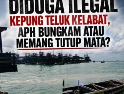 Tambang Laut di Luar IUP PT Timah Makin Brutal di Penyusuk-Cupat-Teluk Limau, Ketegasan APH Dipertanyakan