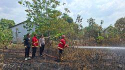 PT Timah Tbk Perkuat Penanganan Karhutla, ERT Sudah 97 Kali Turun