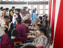 HUT ke-50, PT Timah Himpun 235 Kantong Darah