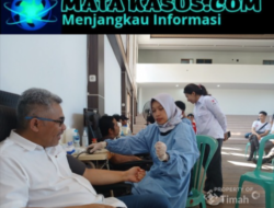 86 Kantong Darah Terkumpul, Bulan Bakti HUT ke-50 PT Timah Tbk Perkuat Stok PMI