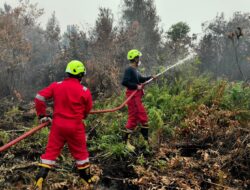 PT Timah Tbk Kerahkan Fire Fighter Bersama Grup MIND ID Tangani Karhutla di Kalimantan Barat